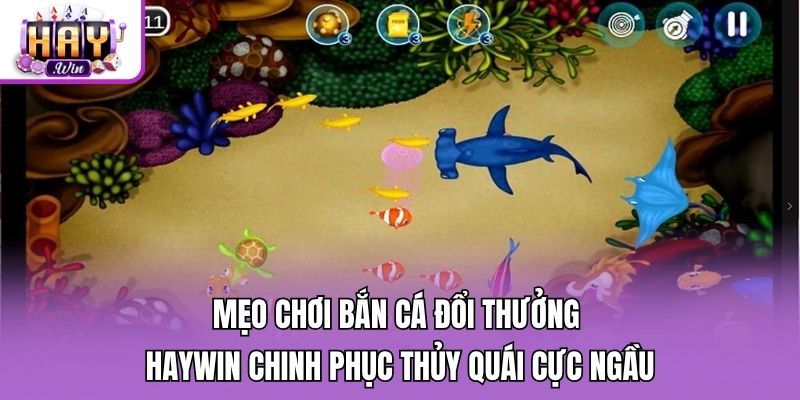 Mẹo chơi bắn cá đổi thưởng Haywin chinh phục thủy quái cực ngầu
