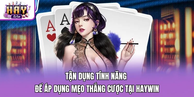 Tận dụng tính năng để áp dụng mẹo thắng cược tại Haywin