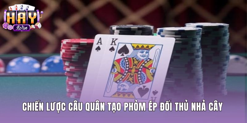 Mẹo đánh phỏm hay với chiến thuật câu quân sảnh và sáp