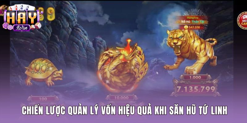 Kế hoạch chia tiền cược từng vòng quay Kho báu tứ linh