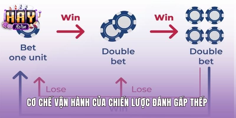 Cơ chế đánh gấp thếp và chuỗi cược cấp số nhân