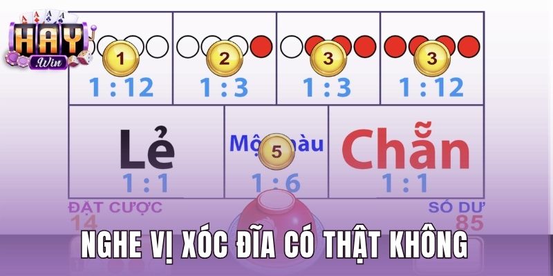 Nghe Vị Xóc Đĩa Có Thật Không - Phân Tích Chuẩn Haywin