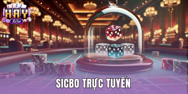 Sicbo Trực Tuyến - Cách Đọc Bảng Cược Chuẩn Tại Haywin