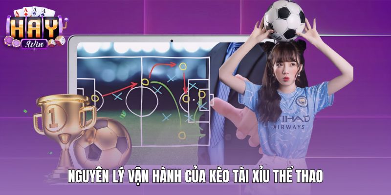 nguyen-ly-van-hanh-cua-keo-tai-xiu-the-thao Nguyên lý kèo tài xỉu qua định mức bàn thắng chuẩn xác
