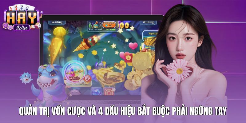 Mẹo săn cá mập và dấu hiệu ngừng tay bảo toàn điểm